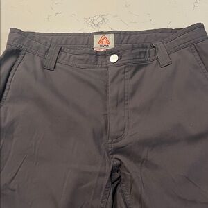 LIVSN 32/30L Gray Trec Pants